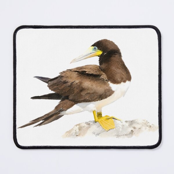 Item preview, Brown Booby (Sula leucogaster) designed and sold by HOMETOWN86.