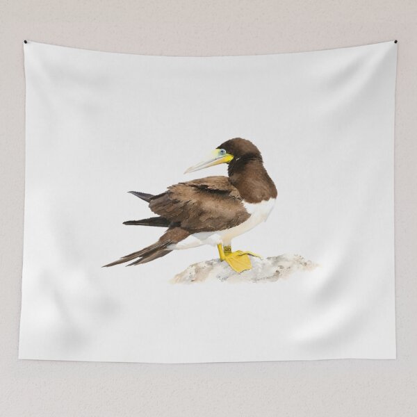 Item preview, Brown Booby (Sula leucogaster) designed and sold by HOMETOWN86.