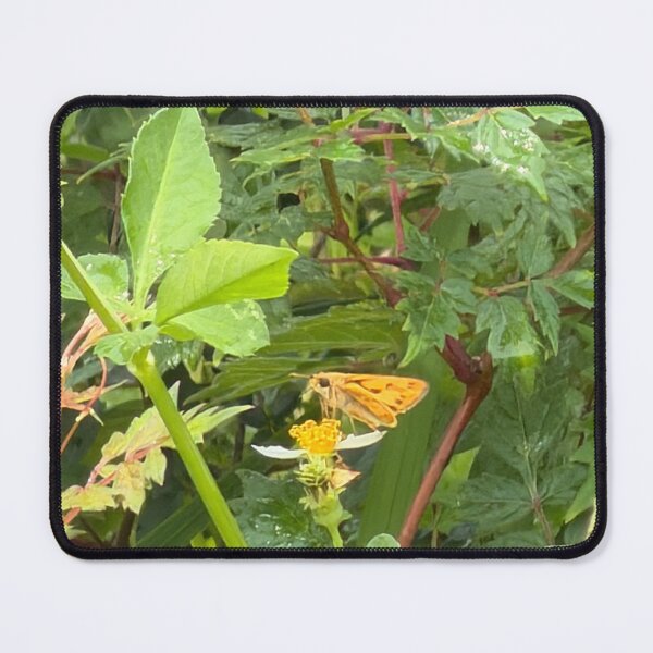 Item preview, Fiery Skipper on a Summer Bloom. designed and sold by Pearls1.