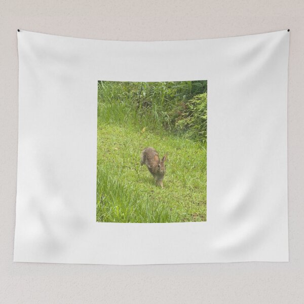 Item preview, Bunny in Mid-Hop. designed and sold by Pearls1.