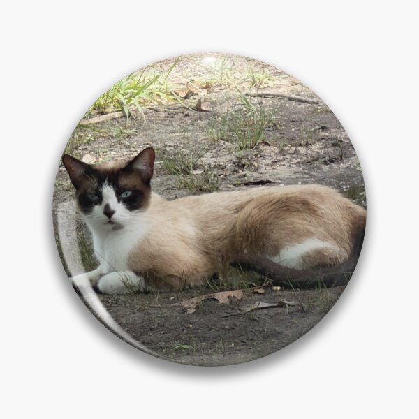 Item preview, Elegant Snowshoe Cat Portrait. designed and sold by Pearls1.