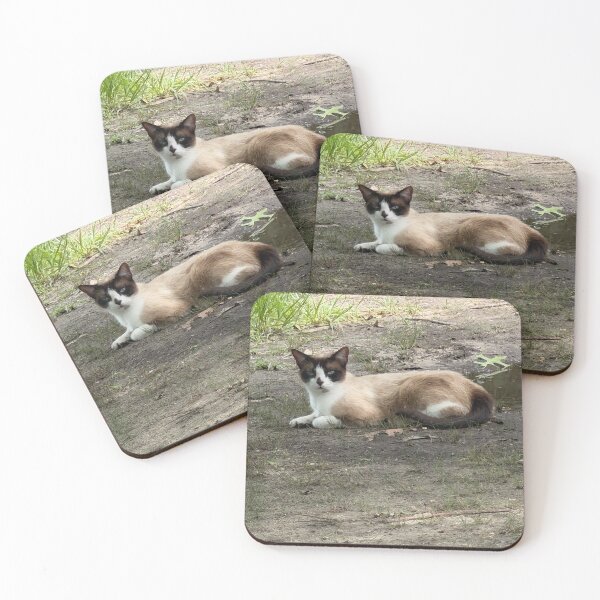 Item preview, Elegant Snowshoe Cat Portrait. designed and sold by Pearls1.