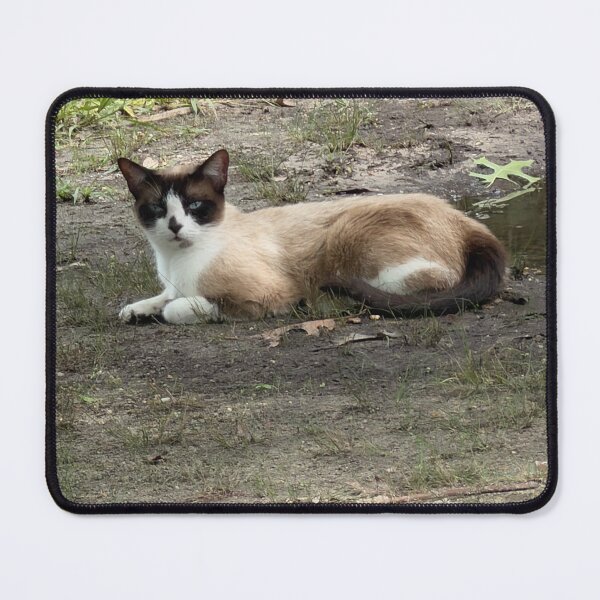 Item preview, Elegant Snowshoe Cat Portrait. designed and sold by Pearls1.
