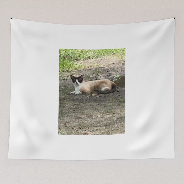 Item preview, Elegant Snowshoe Cat Portrait. designed and sold by Pearls1.