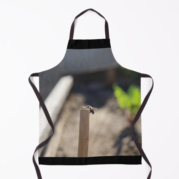 Item preview, Honey Bee Resting on a Wooden Stake in a Garden designed and sold by zuhairiphotos.