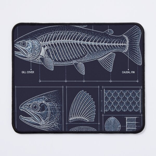 Item preview, Trout Blueprint Anatomy T-Shirt, Rainbow Trout Skeleton Schematic Tee, Fishing Technical Drawing Shirt, Navy Blue Angler Gift, Fin Diagram Graphic designed and sold by SunnyDesign82.