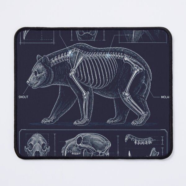 Item preview, Black Bear Blueprint Anatomy T-Shirt, Bear Skeleton Schematic Tee, Hunting Technical Drawing Shirt, Navy Blue Hunter Gift, Skull Diagram Graphic designed and sold by SunnyDesign82.