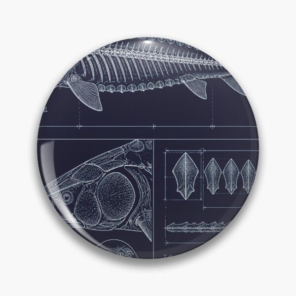 Item preview, Sturgeon Blueprint Anatomy T-Shirt, Sturgeon Skeleton Schematic Tee, Fishing Technical Drawing Shirt, Navy Blue Angler Gift, Scute Diagram Graphic designed and sold by SunnyDesign82.