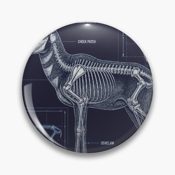 Artikelvorschau, Pronghorn Blueprint Anatomy T-Shirt, Antelope Skeleton Schematic Tee, Hunting Technical Drawing Shirt, Navy Blue Hunter Gift, Horn Diagram Graphic entworfen und verkauft von SunnyDesign82.