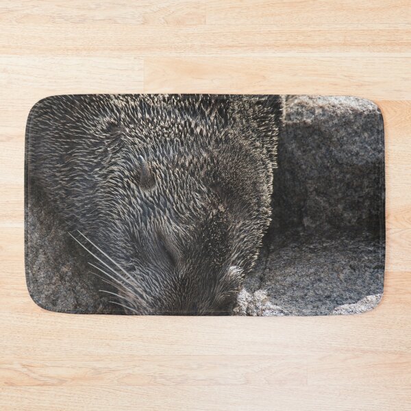 Item preview, Seal sleeping designed and sold by beerman70.
