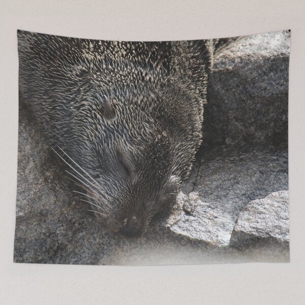 Item preview, Seal sleeping designed and sold by beerman70.