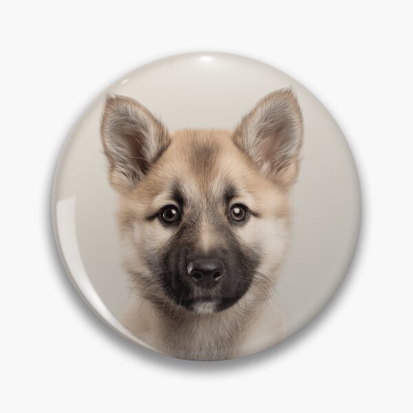 Item preview, Adorable Norwegian Buhund puppy for Cute Norsk Buhund puppy lovers designed and sold by LazyOwlStore.