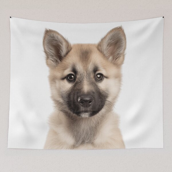 Item preview, Adorable Norwegian Buhund puppy for Cute Norsk Buhund puppy lovers designed and sold by LazyOwlStore.