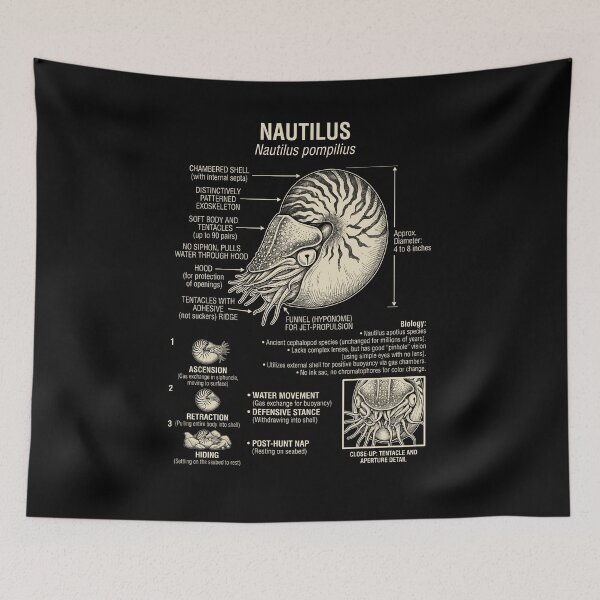 Item preview, Nautilus Scientific Anatomy Biology Animal Lover designed and sold by Kimberley King Art  King Art.