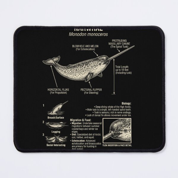 Item preview, Narwhal Scientific Anatomy Biology Animal Lover designed and sold by Kimberley King Art King Art.