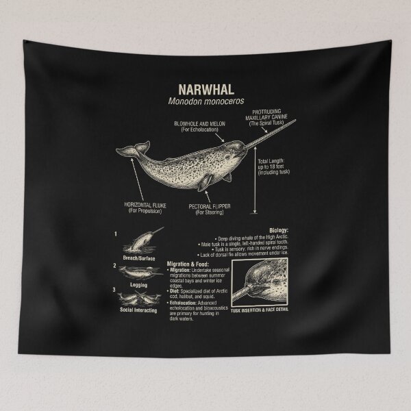Item preview, Narwhal Scientific Anatomy Biology Animal Lover designed and sold by Kimberley King Art  King Art.
