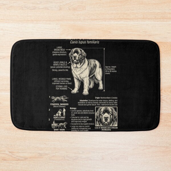 Item preview, Newfoundland Scientific Anatomy Biology Dog Lover designed and sold by Kimberley King Art  King Art.