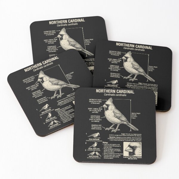 Item preview, Northern Cardinal Scientific Anatomy Ornithology Animal Lover designed and sold by Kimberley King Art  King Art.