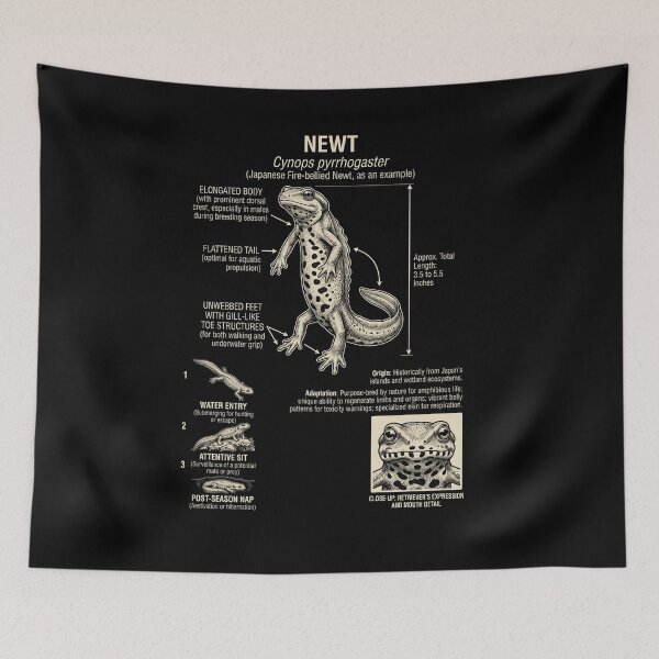 Item preview, Newt Scientific Anatomy Biology Animal Lover designed and sold by Kimberley King Art  King Art.