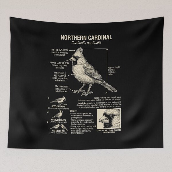 Item preview, Northern Cardinal Scientific Anatomy Ornithology Animal Lover designed and sold by Kimberley King Art  King Art.