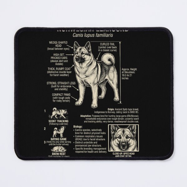 Item preview, Norwegian Elkhound Scientific Anatomy Biology Dog Lover designed and sold by Kimberley King Art King Art.