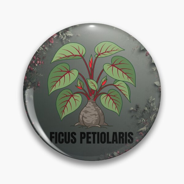 Item preview, Ficus Petiolaris Botanical Graphic Art designed and sold by GreenDivisionJP.
