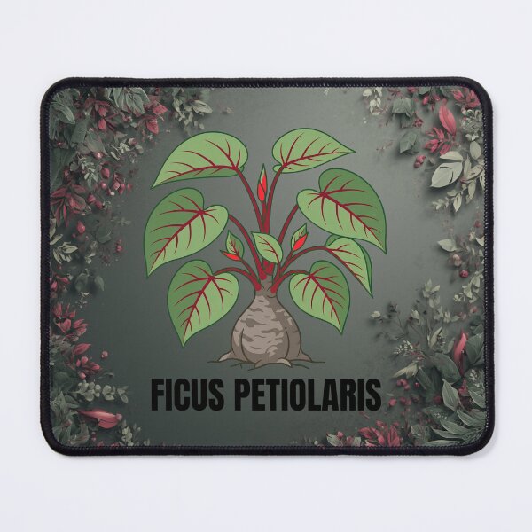 Item preview, Ficus Petiolaris Botanical Graphic Art designed and sold by GreenDivisionJP.