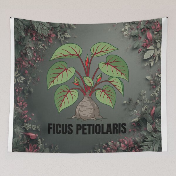 Item preview, Ficus Petiolaris Botanical Graphic Art designed and sold by GreenDivisionJP.