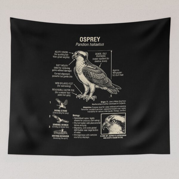 Item preview, Osprey Scientific Anatomy Ornithology Animal Lover designed and sold by Kimberley King Art  King Art.