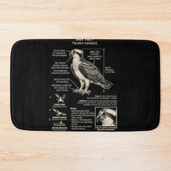 Item preview, Osprey Scientific Anatomy Ornithology Animal Lover designed and sold by Kimberley King Art  King Art.
