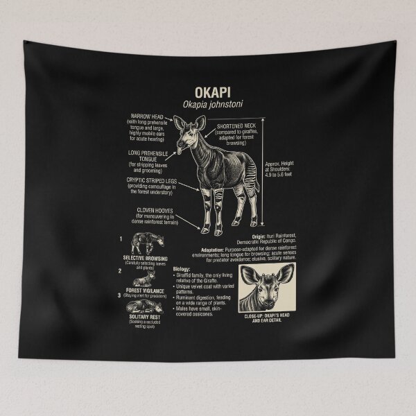 Item preview, Okapi Scientific Anatomy Biology Animal Lover designed and sold by Kimberley King Art  King Art.