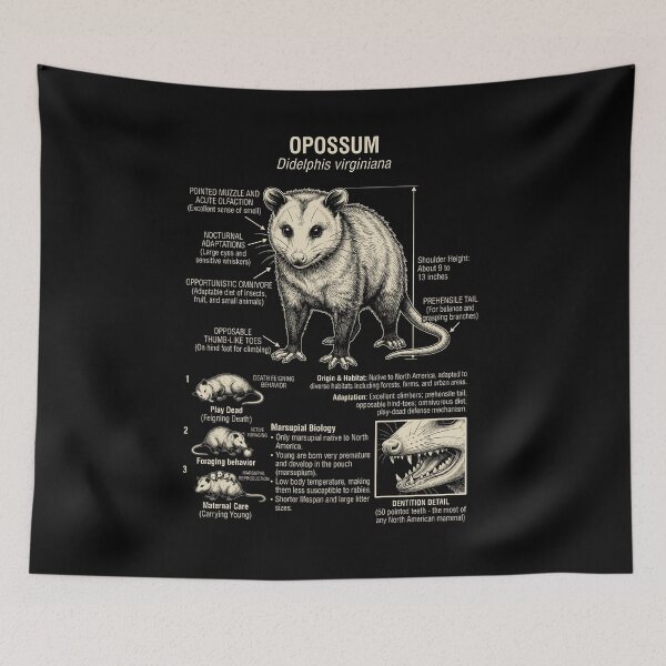 Item preview, Opossum Scientific Anatomy Biology Animal Lover designed and sold by Kimberley King Art  King Art.