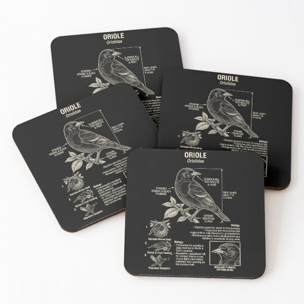 Item preview, Oriole Scientific Anatomy Ornithology Animal Lover designed and sold by Kimberley King Art  King Art.