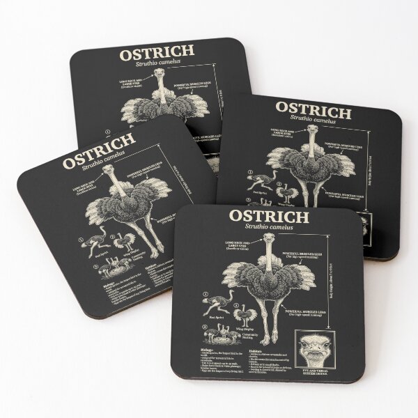 Item preview, Ostrich Scientific Anatomy Ornithology Animal Lover designed and sold by Kimberley King Art  King Art.