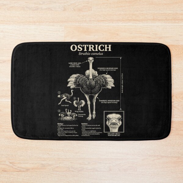 Item preview, Ostrich Scientific Anatomy Ornithology Animal Lover designed and sold by Kimberley King Art  King Art.