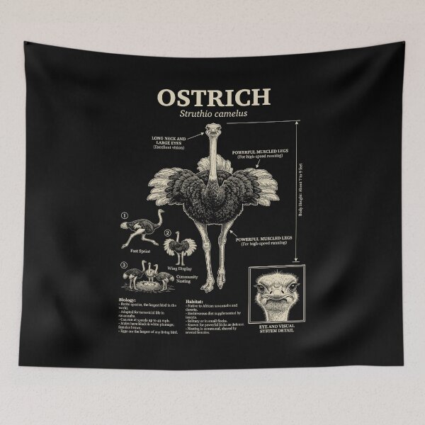 Item preview, Ostrich Scientific Anatomy Ornithology Animal Lover designed and sold by Kimberley King Art  King Art.