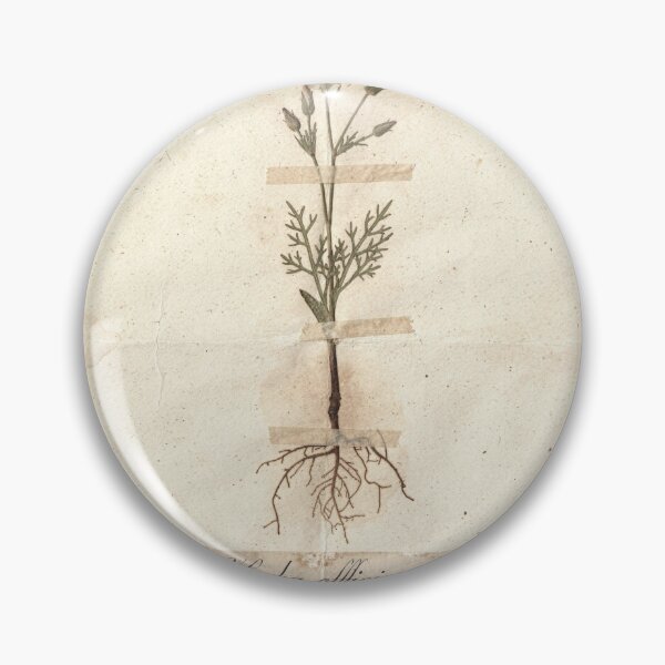 Item preview, Vintage Pressed Wildflower Herbarium Natural History Print designed and sold by PictorialWhimsy.