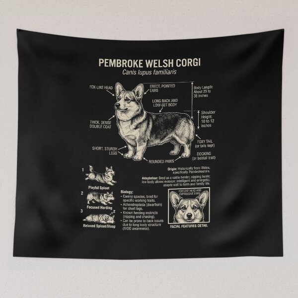 Item preview, Pembroke Welsh Corgi Scientific Anatomy Biology Dog Lover designed and sold by Kimberley King Art  King Art.