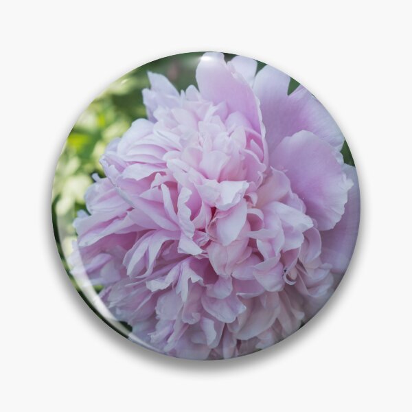 Item preview, Fully Opened Peony Flower in Pale Pink designed and sold by Georgia Mizuleva.