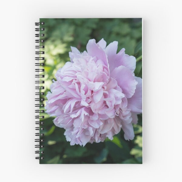 Item preview, Fully Opened Peony Flower in Pale Pink designed and sold by Georgia Mizuleva.