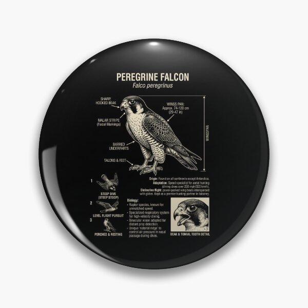 Item preview, Peregrine Falcon Scientific Anatomy Ornithology Animal Lover designed and sold by Kimberley King Art  King Art.