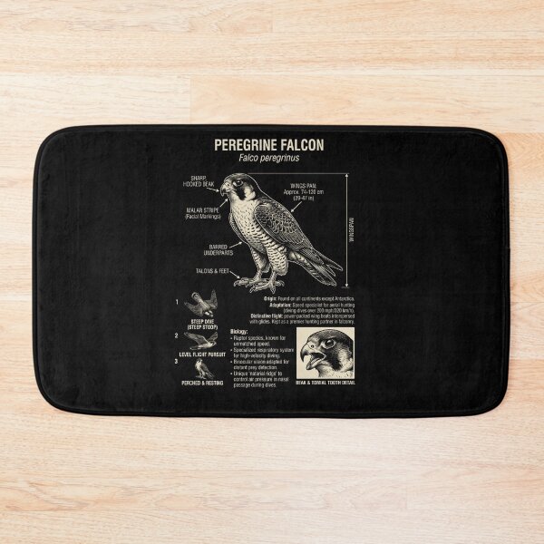 Item preview, Peregrine Falcon Scientific Anatomy Ornithology Animal Lover designed and sold by Kimberley King Art  King Art.