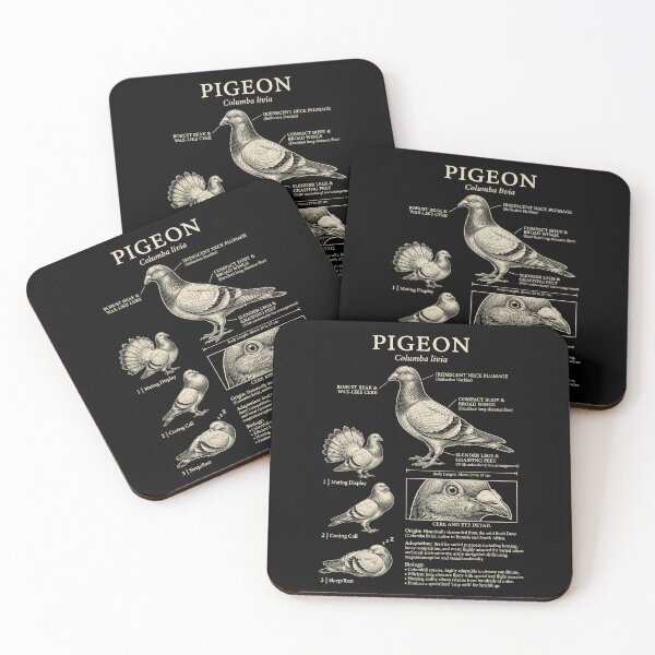 Item preview, Pigeon Scientific Anatomy Ornithology Animal Lover designed and sold by Kimberley King Art  King Art.
