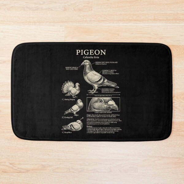 Item preview, Pigeon Scientific Anatomy Ornithology Animal Lover designed and sold by Kimberley King Art  King Art.