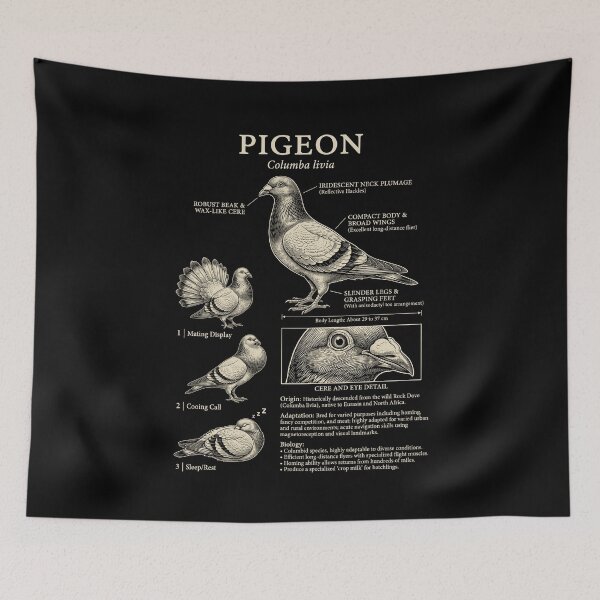 Item preview, Pigeon Scientific Anatomy Ornithology Animal Lover designed and sold by Kimberley King Art  King Art.