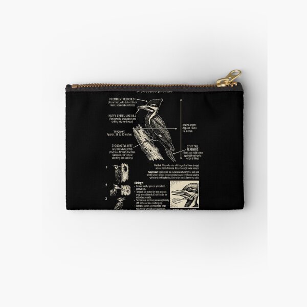 Item preview, Pileated Woodpecker Scientific Anatomy Ornithology Animal Lover designed and sold by Kimberley King Art  King Art.