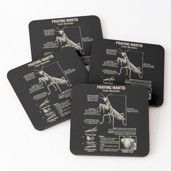 Item preview, Praying Mantis Scientific Anatomy Biology Animal Lover designed and sold by Kimberley King Art  King Art.