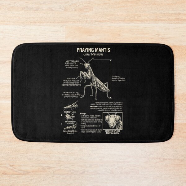 Item preview, Praying Mantis Scientific Anatomy Biology Animal Lover designed and sold by Kimberley King Art  King Art.