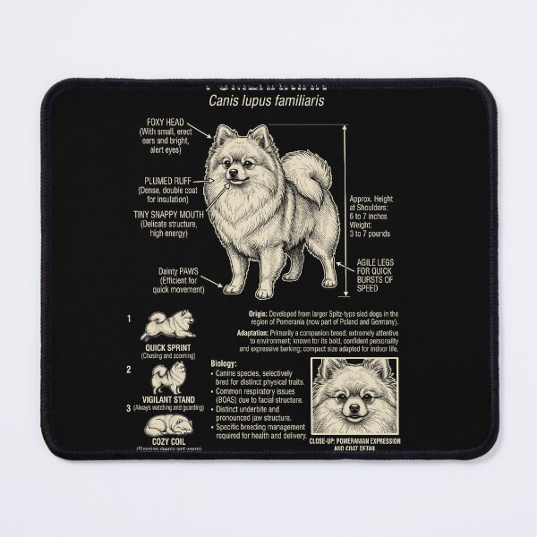 Item preview, Pomeranian Scientific Anatomy Biology Dog Lover designed and sold by Kimberley King Art King Art.