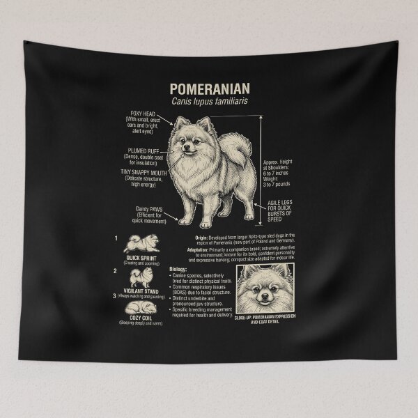 Item preview, Pomeranian Scientific Anatomy Biology Dog Lover designed and sold by Kimberley King Art  King Art.